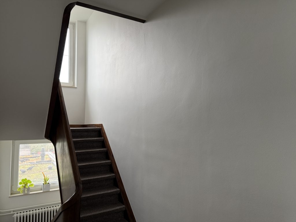 IMG_5148 Traphal met wit geschilderde muren en plafond, project Madeliefje